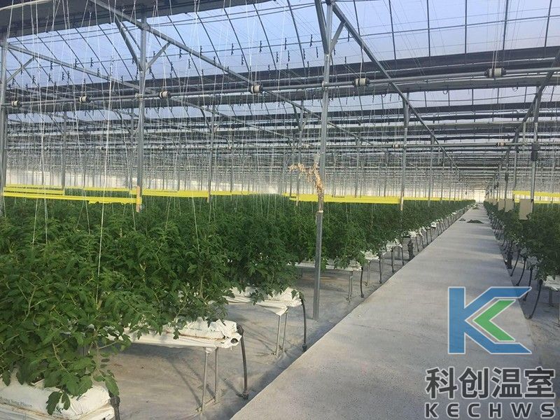 適合植物工廠的溫室大棚造價(jià)分析